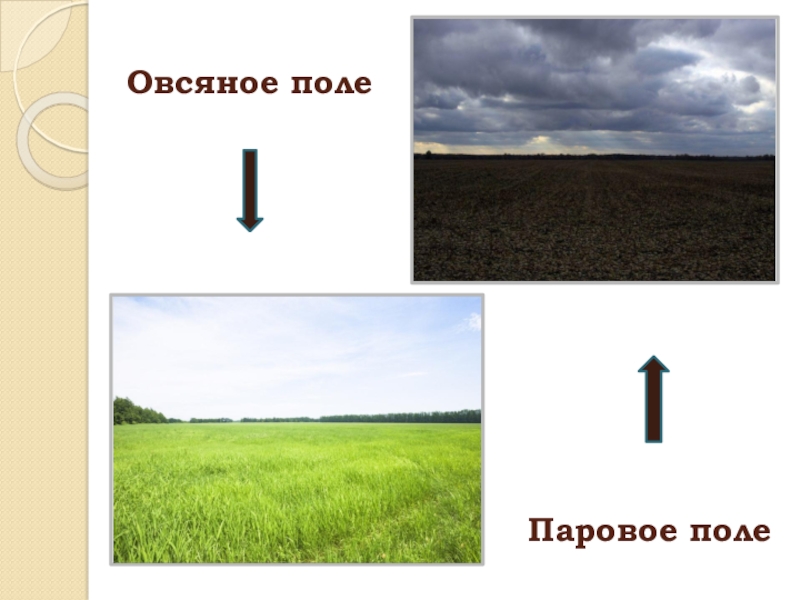 Паровое поле. Холмик парового поля. Паровое поле это объяснить детям. Пар поле.