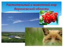 Растительный и животный мир Воронежской области