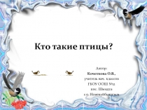 Презентация по окружающему миру на тему Кто такие птицы? (1 класс)