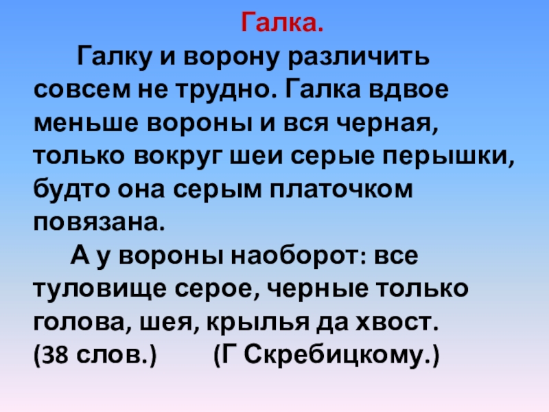 Галка.