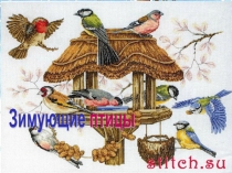 Отчёт презентация об участии в областной экологической акции Помогите птицам зимой