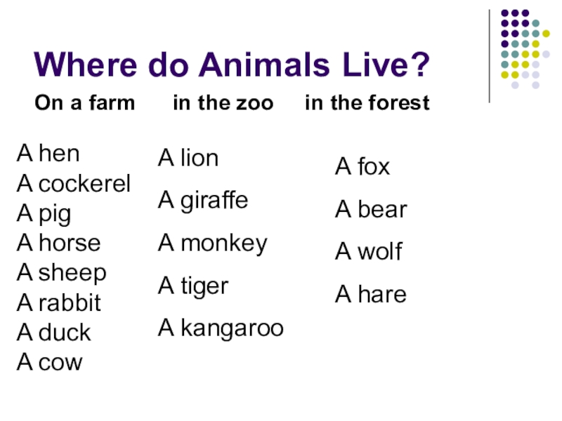 Where does the family live. Where do animals Live. Wild animals английский язык 4 класс. Where did. Where does it Live.