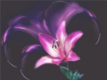 Презентация по биологии на тему Отдел папоротниковидные растения