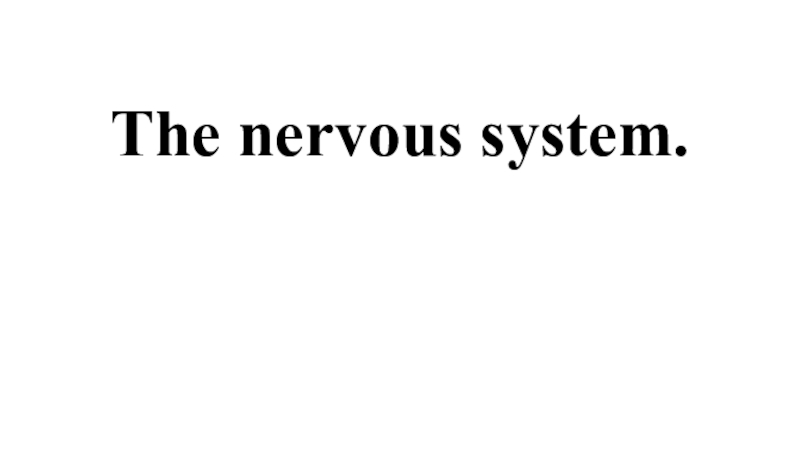 Презентация по английскому языку на тему The nervous system