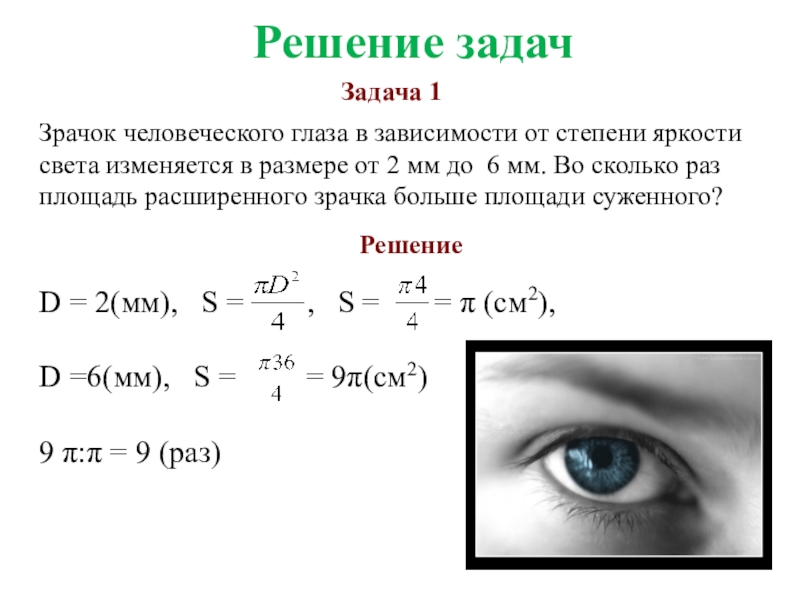 Сколько раз менять. Зрачок человеческого глаза в зависимости от степени яркости света. Диаметр зрачка глаза человека в зависимости от освещения. Величина зрачка зависит от. Диаметр зрачка зависит от.