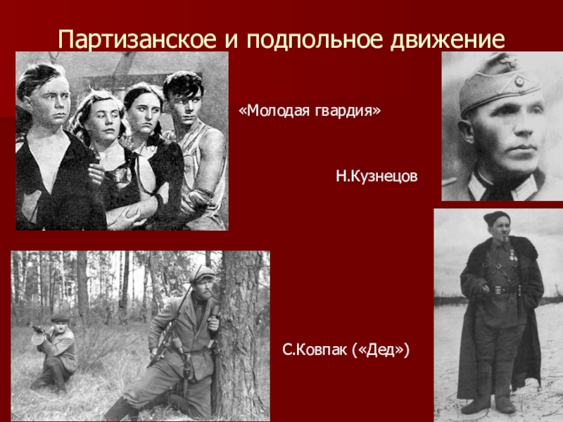 Партизанское и подпольное движение в годы великой отечественной войны презентация