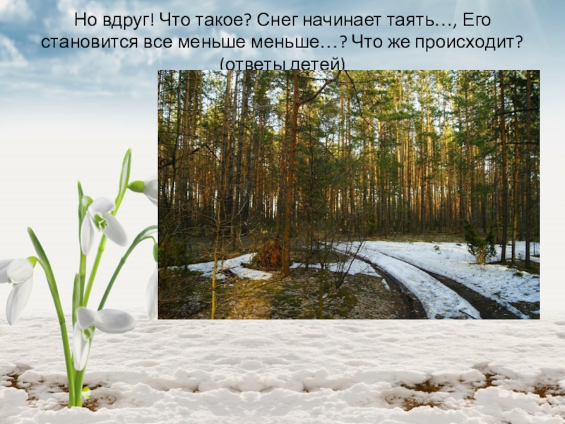 Начал таять. Начинает таять снег. Признаки весны. Признаки весны тает снег. Признаки весны окружающий мир.