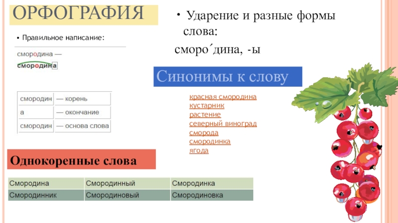 слова из слова смородина. игра слова спрятались. смородина карточки для детей. какие слова составить из слова смородина. смородина схема первый класс.