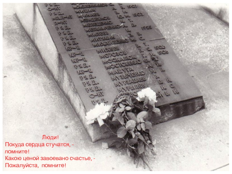 Сайт вов пропавшие без вести. Могилы солдат погибших в Великой Отечественной. Пропал без вести ВОВ.