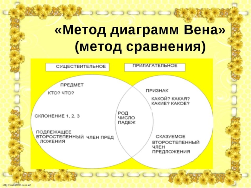 Диаграмма венна в начальной школе