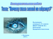 Презентация исследовательской работы на тему Почему глаза зимой не мёрзнут? (Электронный образовательный ресурс)