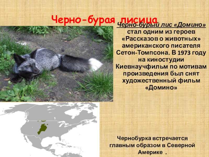 Книги по биологии рабочая тетрадь 7 класс. Биология тетрадь для лабораторных работ. Тетрадь для лабораторных работ 7 класс. Лисов 7 класс. Учебник биологии 6 класс рб.