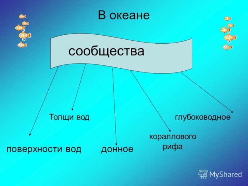 Презентация на тему жизнь в морях и в океанах