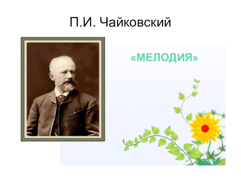 Пьеса чайковского мелодия. Чайковский мелодия. П И Чайковский мелодия. Чайковский рисунок. Чайковский мелодия произведения.