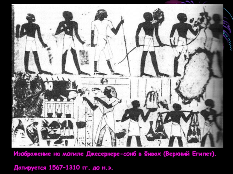 Изображение на могиле Джесеркере-сонб в Фивах (Верхний Египет).Датируется 1567–1310 гг. до н.э.