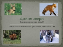 Коммуникативно-познавательный, творческий и исследовательский проект-презентация