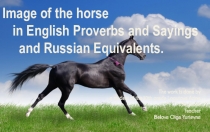 Образ лошади в английских пословицах и поговорках
