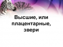 Презентация по биологии Высшие (плацентарные) млекопитающие