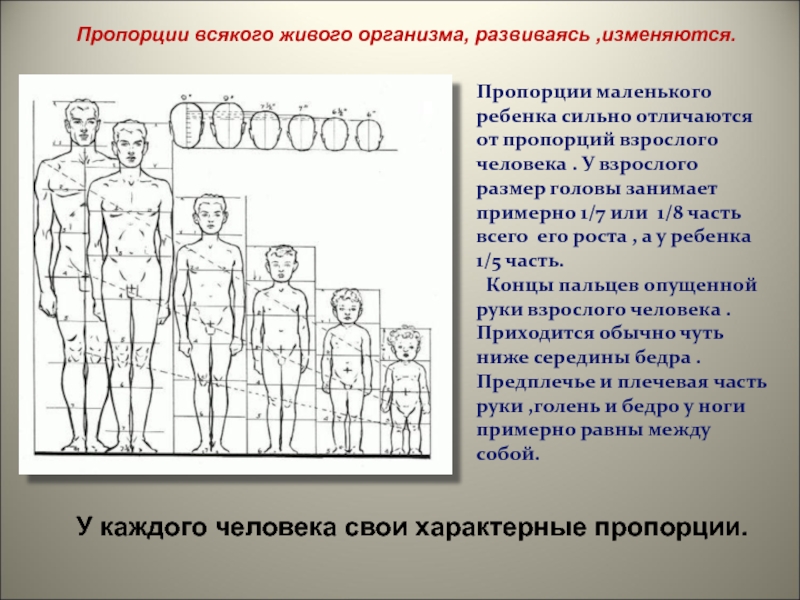 Рисовать значит видеть пропорции