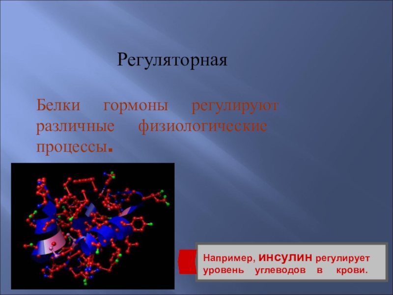 Функции белков презентация