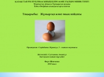 Слайд Жұмыртқаның пайдасы ғылыми жоба