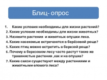 Презентация по внеклассной работе  Мой класс