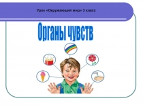 Презентация по окружающему миру на тему Органы чувств ( 3 класс)