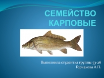 Семейство карповых. учащаяся группы 53-26 Повар. кондитер Горчакова А.П