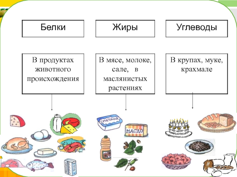 Наше питание презентация