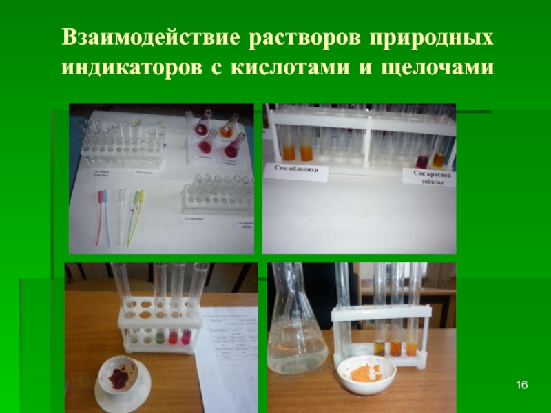 Природные индикаторы презентация