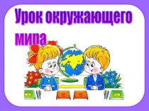 Презентация к уроку окружающего мира Домашние опасности