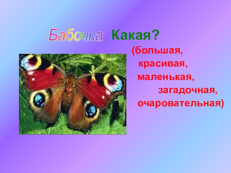 Значение слова бабочка. Какой какая 1 класс. Какая маленькая большая. Игра какой какая какое.