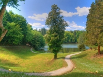 Презентация к совместной деятельности с детьми  Лесные обитатели - насекомые