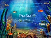Конспект непосредственно образовательной деятельности с детьми старшего дошкольного возраста Рыбы