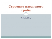 Презентация к уроку Микроскопические грибы