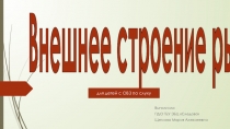 Внешнее строение рыб для детей с ОВЗ по слуху