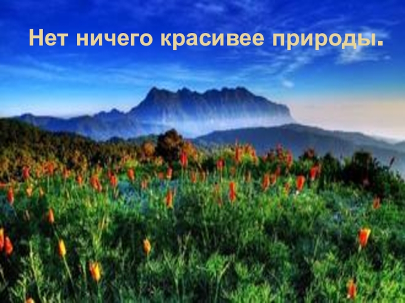 В природе нет ничего прелестнее. Нет ничего прекраснее природы. Нет ничего прекраснее цветов. Нет ничего красивее природы в России. Нет ничего прекрасней природной красоты.