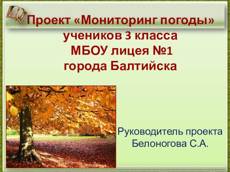 Проекты по окружающему миру в начальной школе