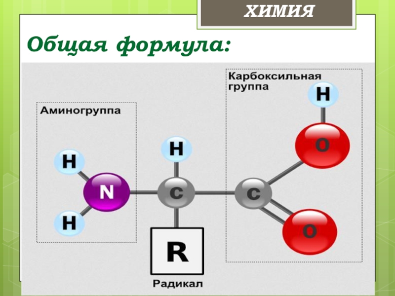 Презентация по химии аминокислоты