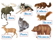 Презентация к уроку русского языка