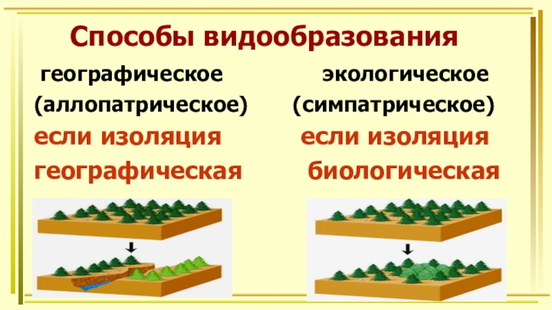 Схема аллопатрического видообразования