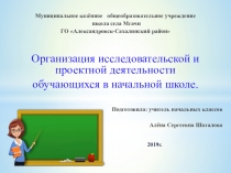 Организация проектной и исследовательской деятельности в начальной школе