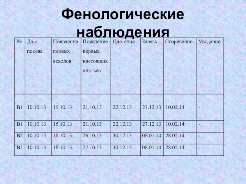 Практическая работа организация фенологических наблюдений в природе