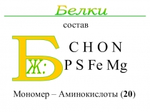 Презентация Белки. Строение, состав. (9 класс)