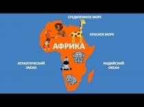 Презентация Птицы Африки ознакомление с окружающим