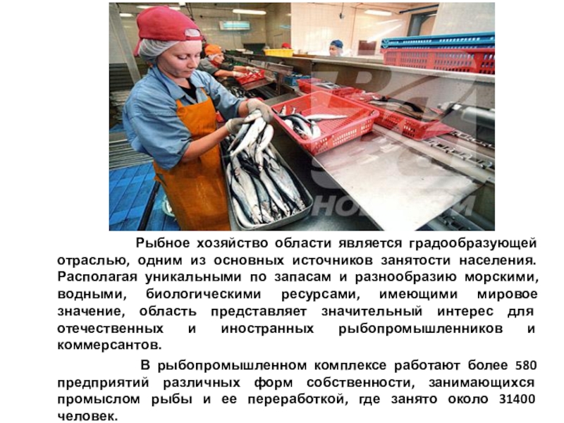 Реферат: Пищевая промышленность Сахалинской области