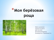 Презентация к исследовательской работе Моя березовая роща