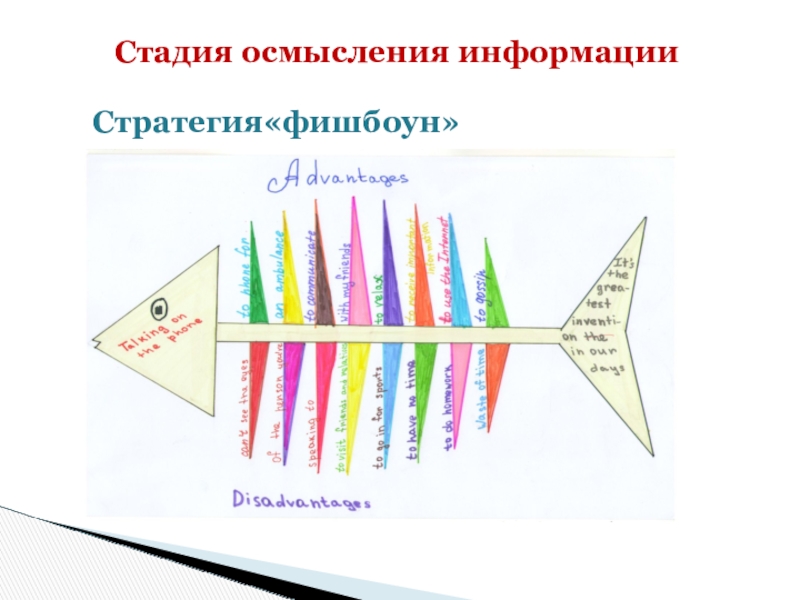 Фишбоун по истории