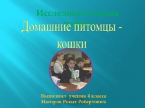 Исследовательская работа на тему Домашние питомцы - кошки