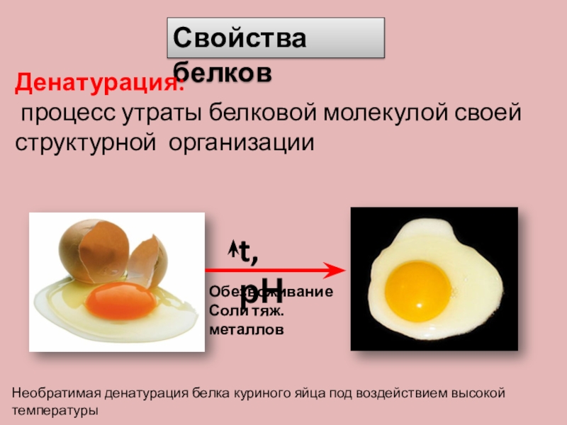 Куриный белок детям. Необратимая денатурация. Необратимая денатурация белка. Белок куриного яйца. Яичный белок формула.